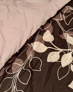 lot 123 image: Beautiful Black and Gray Comforter Set with Pretty Accent Pillows and Two Pillow Cases