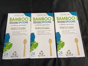 100% Bamboo Disposable Spoons 24-Pack - Set of 3