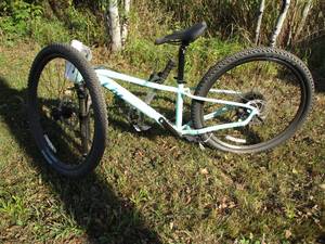LIV MTN Bike
