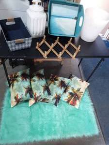 lot 68 image: 30x46 Mint Fuzzy Rug Like New, 4-Decorative Palm Pillows, Other Home Decor