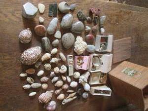 (DLR) Vintage Wood Box Full of Assorted Sea Shells and Polished Rocks