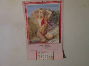 (DLR) Vintage 1979 Nutz Deep Calendar - Photo Has Has Almost All Clear Overlay