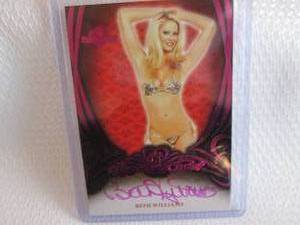 lot 151 image: 2015 Bench Warmer Beth Williams Pin...