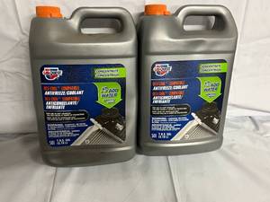 lot 172 image: 2 Gallons of Carquest Dex-Cool Compatible AntifreezeCoolant