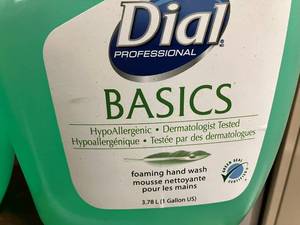 Dial Foaming Hand Soap