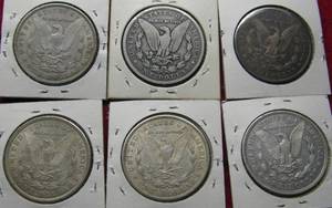 lot 293 image: 6 Morgan Silver Dollars, 1900-21