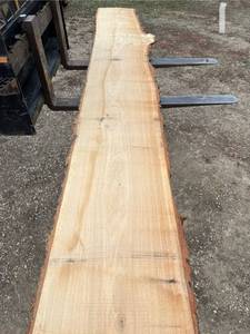 Unique Oak Wood Slab
