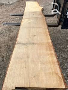 Unique Oak Wood Slab
