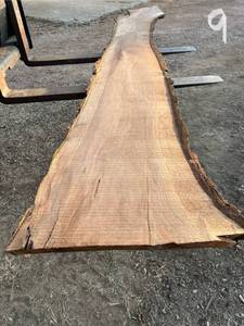 Unique Walnut Wood Slab