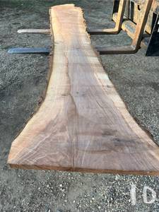 Unique Walnut Wood Slab