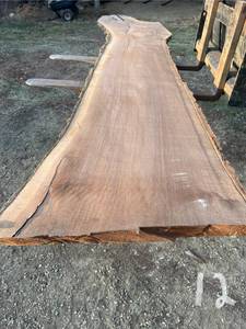 Unique Walnut Wood Slab