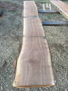 Unique Walnut Wood Slab