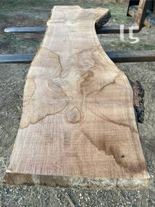 Unique Walnut Wood Slab