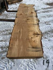 Unique Oak Wood Slab