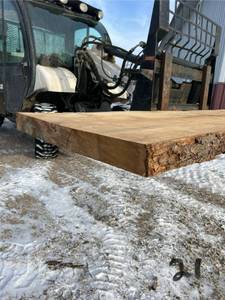 Unique Oak Wood Slab