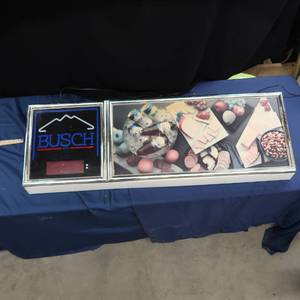 lot 3 image: BUSCH  PLASTIC FLOURESCENT LIGHT