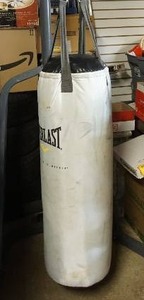 lot 166 image: Everlast Punching Bag With Stand