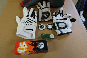 lot 1S image: Assorted Golf Balls, Tees, Gloves, Markers - Wild Head Cover