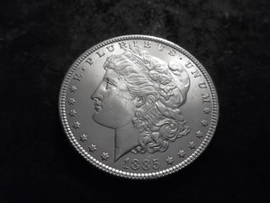 1885 Morgan Silver Dollar