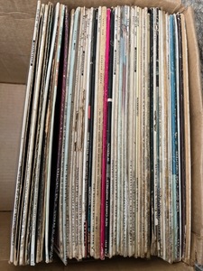 Vintage Vinyl Records - Frank SinatraJohn DenverRay CharlesGlen CampbellBelafonte and More