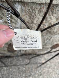 Mustard Seed Metal Decorative Border Fence (44.5 T x 41 W)