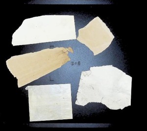 lot 17 image: Assorted Collection of Vintage Postal Stamp Fragments