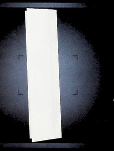 lot 91 image: Authentic 19th-Century Handwritten Financial Ledger Entry - Antique Collectible Document