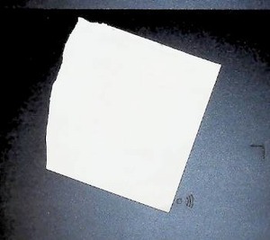 lot 123 image: Vintage 50-Cent Revenue Stamps Pair  Late 19th to Early 20th Century