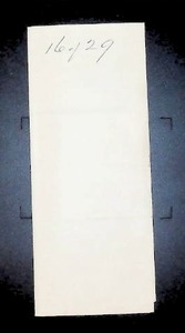 lot 172 image: 1877 Philadelphia Election Results Document