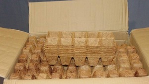 lot 21 image: Plant Best Coir Strip (1.75) with EZ TearCut Pack of 300