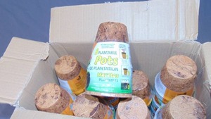 lot 34 image: Plant Best Round Fiber Grow Pots 3 8 packs - Case of 24