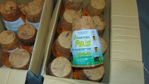 lot 36 image: Plant Best Round Fiber Grow Pots 3 8 Packs - 45 - 8 Packs
