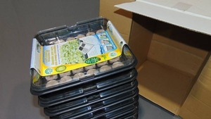 lot 41 image: Plant Best 35 Pellet Self Watering Greenhouse Kit - Case of 10
