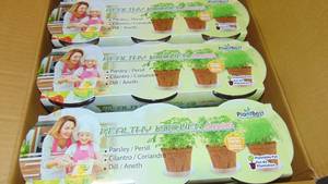 lot 110 image: Plant Best Healthy Kitchen Essentials Grow Kits - 2 Cases of 12