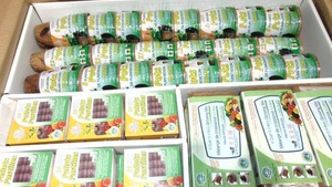 lot 67 image: Plant Best Planters Pride Seed Starters Mixed Case of 43
