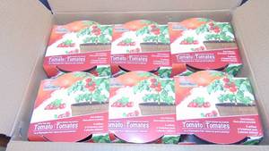 lot 98 image: Plant Best Grow Your Own - Tomato 2 Cases of 12