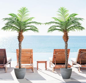 lot 168 image: Keeplush 7ft Tall Artificial Phoenix Palm Tree for Outdoor Indoor Decor