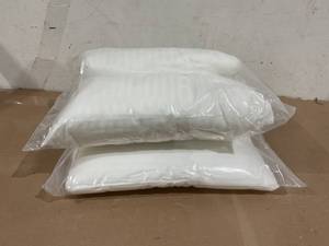lot 151 image: LOT OF 4 Trendy Home 22x22 Throw Pillow Insert