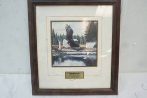 Eagle picture