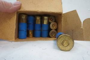 12 gauge ammo