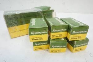 Remington .22 ammo