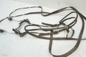Bridle