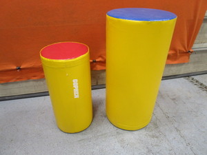 lot 45 image: (2) Gym Pads 24x49 & 18x38