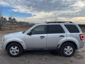 2010 Ford Escape XLT