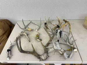 lot 60 image: Antlers