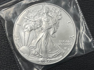 2024 Silver Eagle