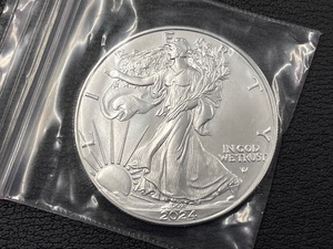2024 Silver Eagle