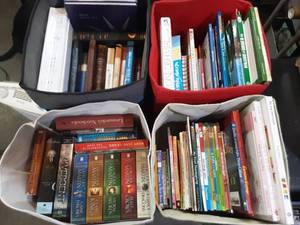 assorted books religious, kids, vintage, novels