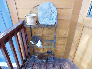 lot 163 image: Outdoor Rack with Miscellaneous Items