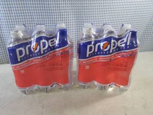 (C-2) 2 - 6-Packs Propel Watermelon...